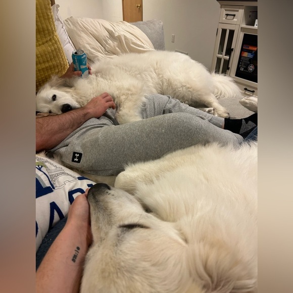 Welcome to our Posh!! - Picture 9 of 17